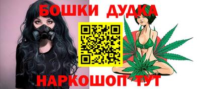 гашик Новодвинск