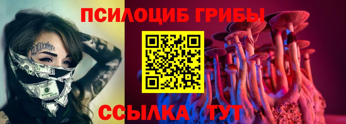 Галлюциногенные грибы ЛСД  Вход с VPN  Галлюциногенные грибы Cubensis  закладка  Ступино 
